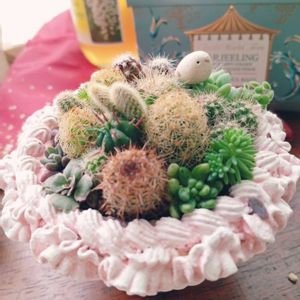 プレゼント,サボテンの寄せ植え,かおりんさんありがとう♡の画像