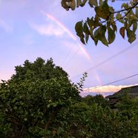 福岡,備忘録,癒し…,記録,NO GREEN  NO LIFEの画像