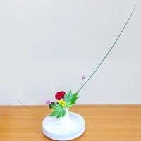ケイトウ,センニチコウ,スプレーマム,キイチゴ,ブラックパールの画像