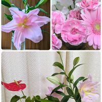 アンスリウム,カーネーション,ユリ,胡蝶蘭,今日のお花の画像