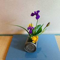 カキツバタ,コウホネ,切り花,華道,いけばなの画像