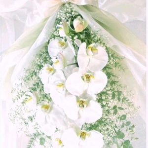 胡蝶蘭,胡蝶蘭（こちょうらん）,今日の お花,今日の お花,お祝いのお花✨の画像