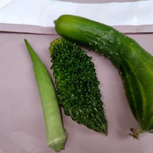 オクラ,キュウリ,ゴーヤ,ゴーヤ,ナスの画像