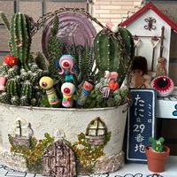 ヒューケラ,サボテンの寄せ植え,GSのみなさんに感謝♡,ガーゴイル,ヒューケラ♪の画像