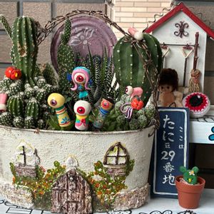 ヒューケラ,サボテンの寄せ植え,GSのみなさんに感謝♡,ガーゴイル,ヒューケラ♪の画像