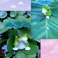 温帯スイレン,里芋（赤芽大吉）,里芋（赤芽大吉）,繋がりに感謝✨,お家園芸の画像