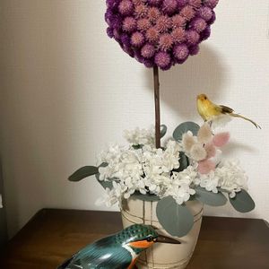 センニチコウ,バニーテール,ユーカリ ポポラス,漂白アナベル,ドライフラワーの画像