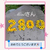 ヒマワリ,癒し…♡,すてき…♡,か〜わい〜,2023/09 GSデビューの画像
