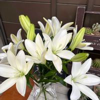 可愛い〜♡,no green no life,お花大好き♡,お花のある暮らし,お花は癒しの画像