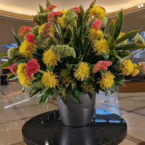 胡蝶蘭,備忘録,植物美,エントランスの画像