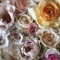 バラ,風知草,ミニひまわり,ミニひまわり,マムの画像