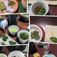 イロハモミジ,お茶の葉,ハーブ,思い出,愛知県の画像