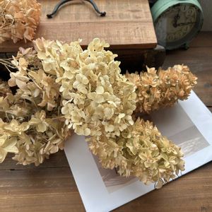 ドライフラワーのある暮らし,小さな庭の画像