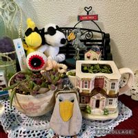 芙蓉(ふよう)の花,癒される,繋がりに感謝✨,ネックレスの日,SNOOPY♡の画像