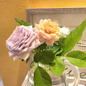 薔薇　シルバークラウド,バラ  アイウィル,初心者,ベランダガーデニング,ばら バラ 薔薇の画像
