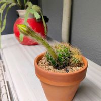 お散歩の途中,ちょっとおでかけ,バルコニー/ベランダ,お出かけ先の画像