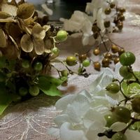 アナベル　ドライフラワー,アナベル漂白,サオトメバナ(早乙女花),ゲブラ・ナガトヨ,モンチッチ♡の画像