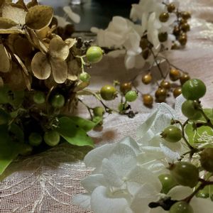 アナベル　ドライフラワー,アナベル漂白,サオトメバナ(早乙女花),ゲブラ・ナガトヨ,モンチッチ♡の画像