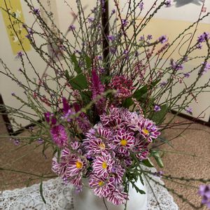 キク,感謝,今日のお花,母に感謝,寂しいなの画像