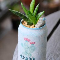 多肉植物,多肉植物のある暮らし,自作リメ缶,癒し…♡,多肉大好き❤️の画像