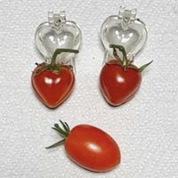 ミニトマト,家の外,ハートの形のミニトマト,家庭菜園の画像