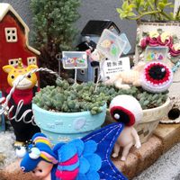 オリヅルラン,ベビーサンローズ,胡蝶の舞,紅提灯,碧魚連(へきぎょれん)の画像