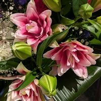 ユリ,,元気もらえる,GSの皆さんに感謝❣️,ピンクワールドへ ようこその画像