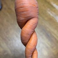 人参の画像