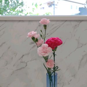 カーネーション,かわいい花,切り花を楽しむ,連日降り続く雨の画像