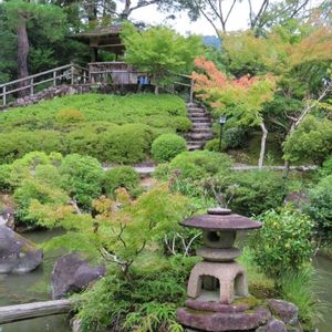 日本庭園,心静かに,ウォーキング✨,綺麗な苔庭✨,素敵な苔庭✨の画像
