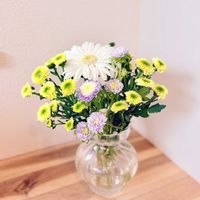 アスター,ガーベラ,スプレーマム,切り花,生花の画像