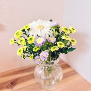 アスター,ガーベラ,スプレーマム,切り花,生花の画像
