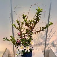 いけばな,GSミニモニ。,いつも心に太陽を,いけ花と茶の湯の会の画像
