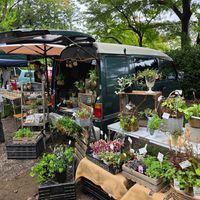 寄せ植え,ガーデニング,ナチュラルガーデン,花のある暮らし,花の寄せ植えの画像