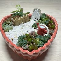 レモン,挿し木,ミニチュア,多肉の箱庭の画像