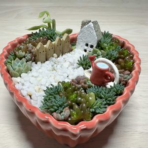 レモン,挿し木,ミニチュア,多肉の箱庭の画像