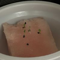 バジル,バジル,お花に癒される,平穏な日々への願い,それでも世界は美しいの画像