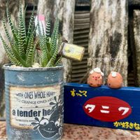 十二の巻,るる　かまぼこ板で繋がる輪,ちょこんとﾋﾟｰﾀﾝ,ｼﾞｼﾞﾊﾞﾊﾞﾋﾟｰﾀﾝ,2のつく日は斑入りの日の画像