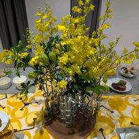 オンシジウム,ミント,ミント,ハーブ,愛知県の画像