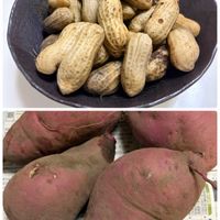 落花生,サツマイモ,落花生おおまさりネオ,今年もありがとう,畑の画像