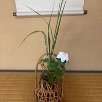 和室の画像