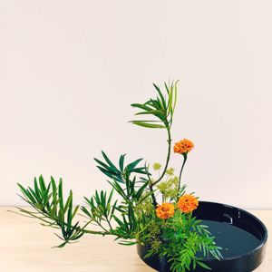 マリーゴールド,カヤツリグサ,マキノキ,小原流,盛花の画像