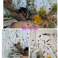 ワレモコウ,われもこう,吾亦紅(われもこう)の画像