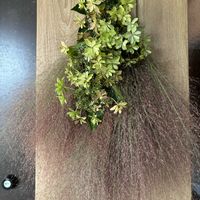 シュウメイギク,スワッグ,庭仕事,母に感謝,フレッシュスワッグの画像