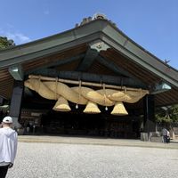 ミヤマオダマキ,琉球朝顔,琉球朝顔,出雲大社,出雲大社本殿の画像