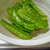 四角豆,ミョウガ,チーム愛知,お散歩ちゃんキーホルダー,キッチンの画像