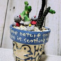 ユーフォルビア クラビコーラ,エチドノピシス・リーチー,多肉植物,大好き,お気に入り♡の画像