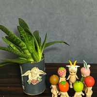 サギソウ,ガステリア,B型,GSミニモニ。,バラと夢CLUBの画像
