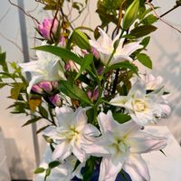 リンドウ,桜吹雪,いけばな,八重の百合,ピンクワールドへ ようこその画像