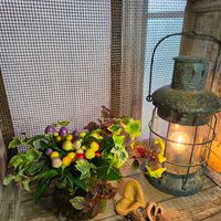苔玉,ガーデニング,コンテナガーデン,花のある暮らし,お花の寄せ植えの画像